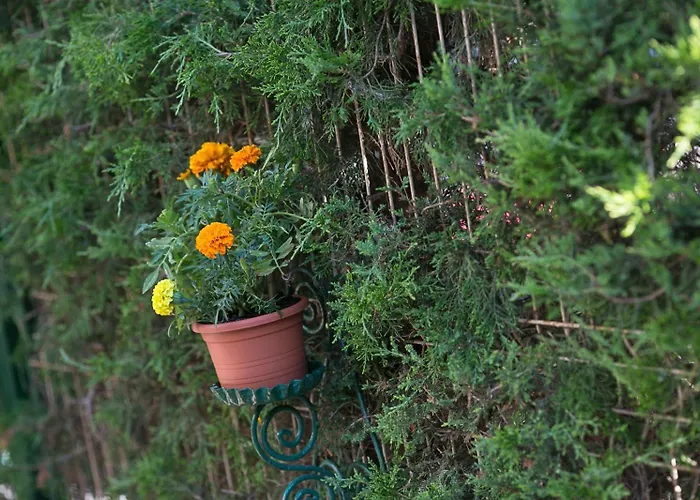 Casa Phoenix אפורי נורד